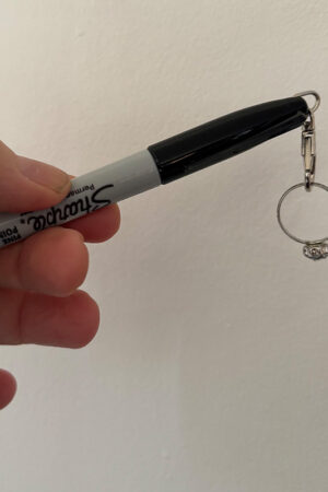 Ring Flight in a Sharpie with Ring