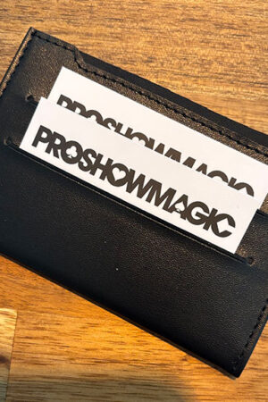 Sneaky Peak 2.0 Wallet